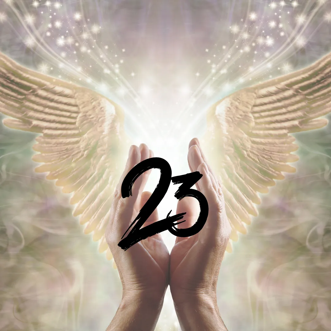 angel hands holding number 23
