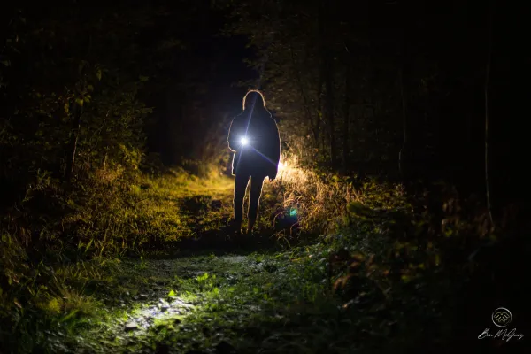 Illustration of a person shining a flashlight under in the middle of a dark forest iving ligh to a dark and unknown path, symbolizing the concept of confronting and demystifying fears.