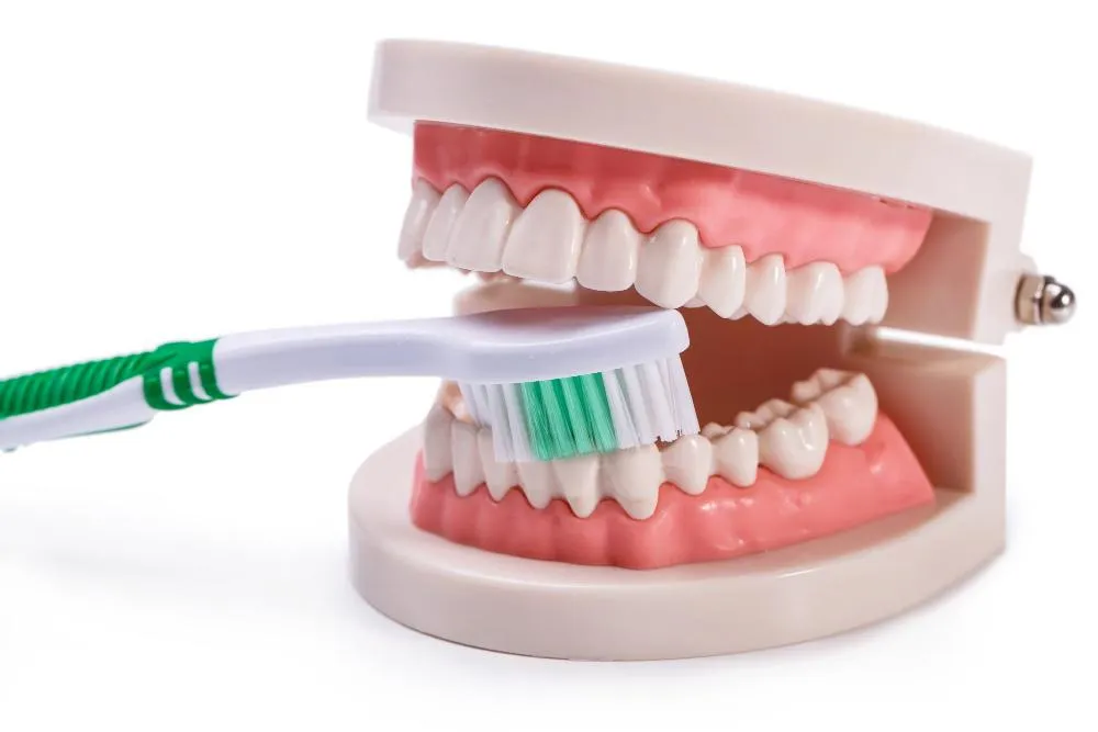 Dientes Cepillados