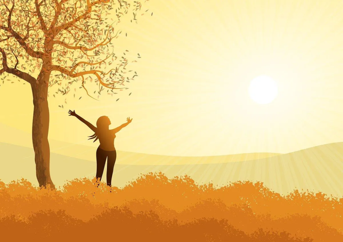 Image of a woman stretching by a tree in the sunlight