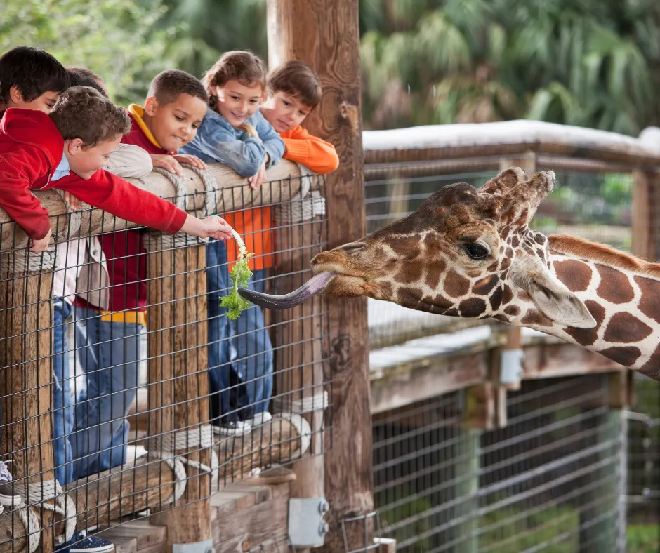 Kids learning at the zoo