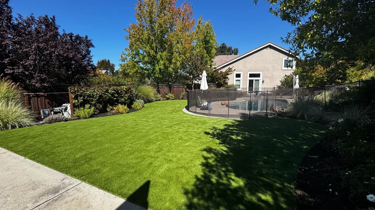 danville turf 