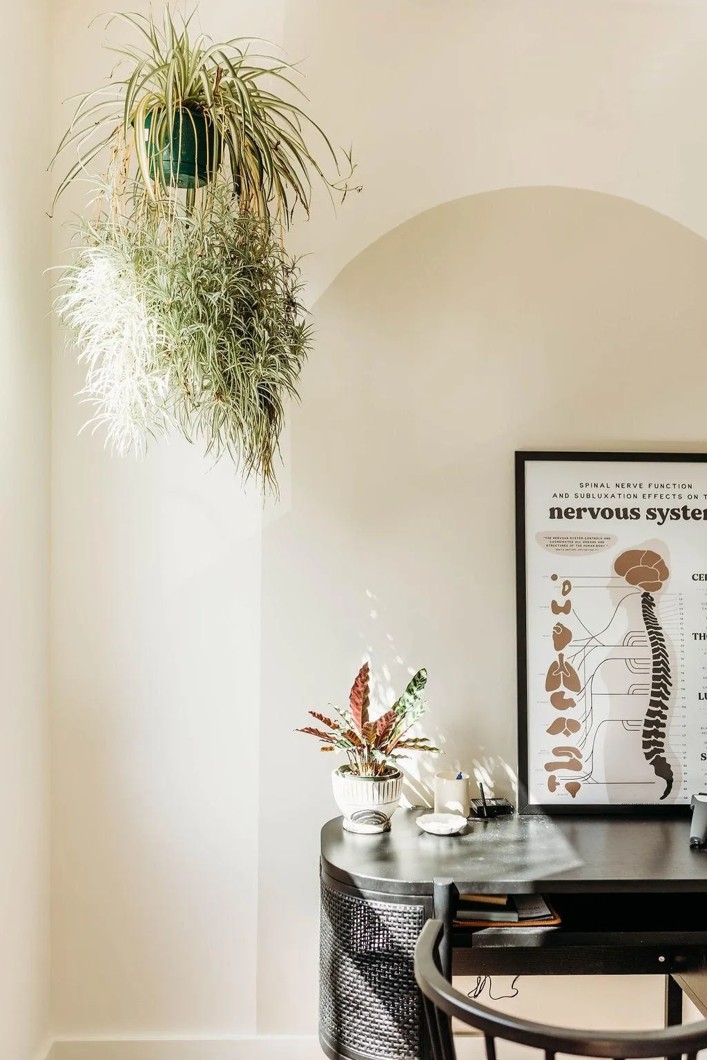 How Allergies and Your Nervous System Are Connected