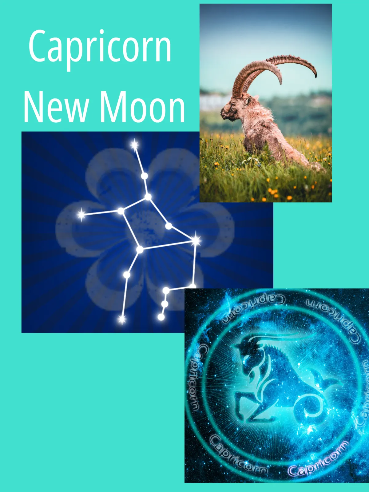 First New Moon in Capricorn