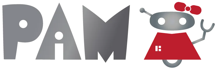 Meet Paim - Steven's Ai Assistant