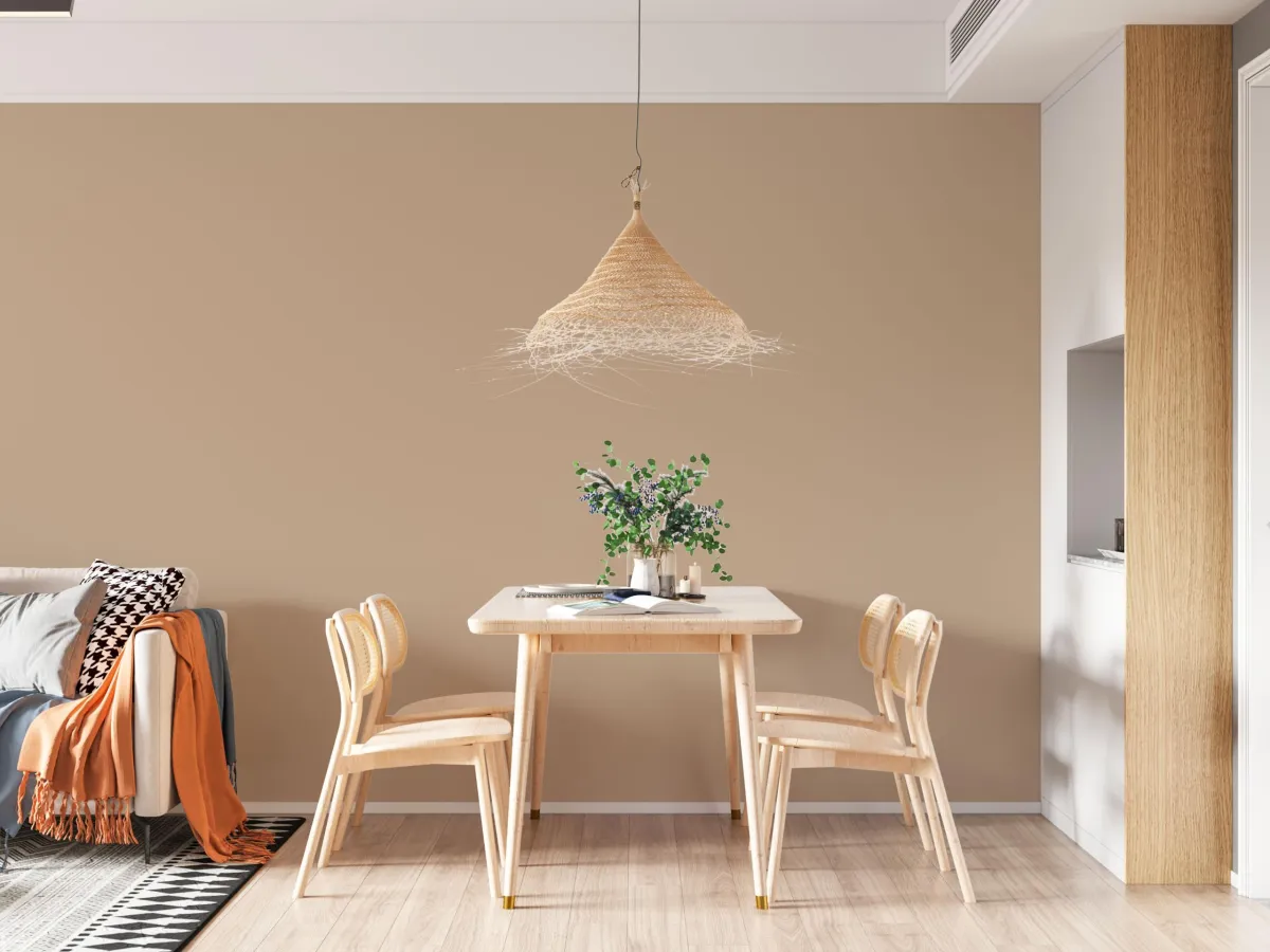 David Service Peintre Albi Tarn