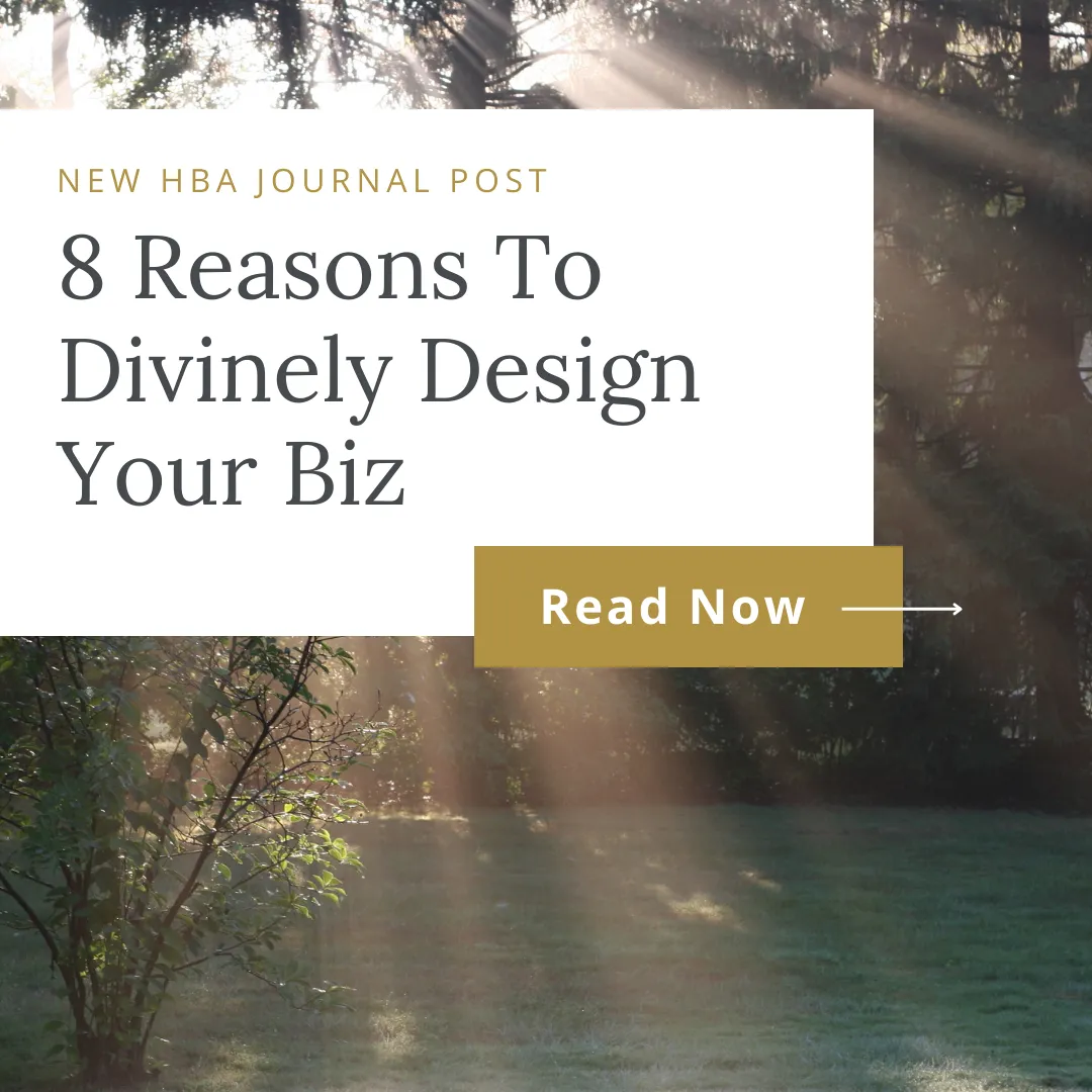 Divine Design Section 1 of Illuminate