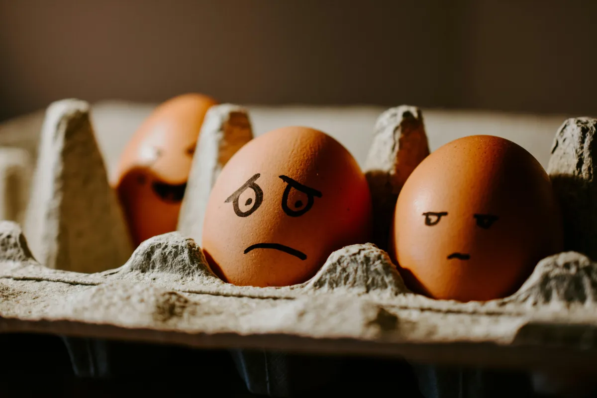 stressed eggs