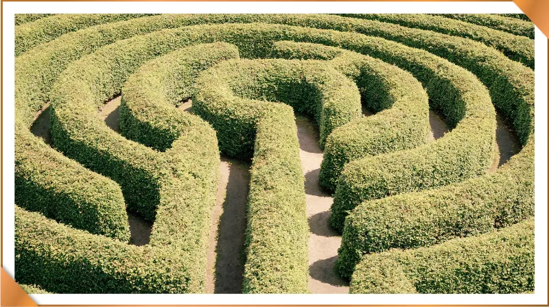 Finding Your Path: Why Having a Purpose Matters