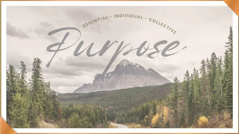 Essential, Individual, and Collective Purpose