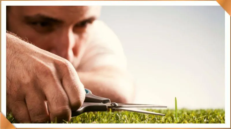 Perfectionism in Entrepreneurship