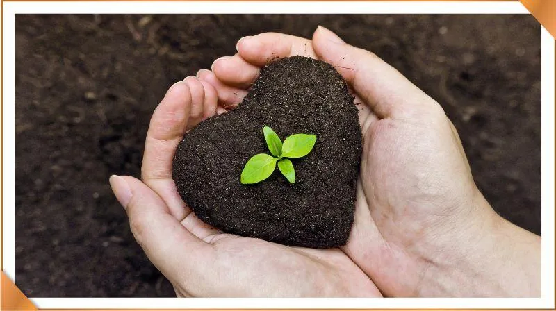 What Makes A Business Healthy, Stable, And Ready To Grow