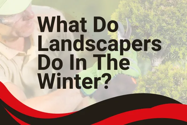 What Do Landscapers Do in the Winter? - VIP | Business Credit