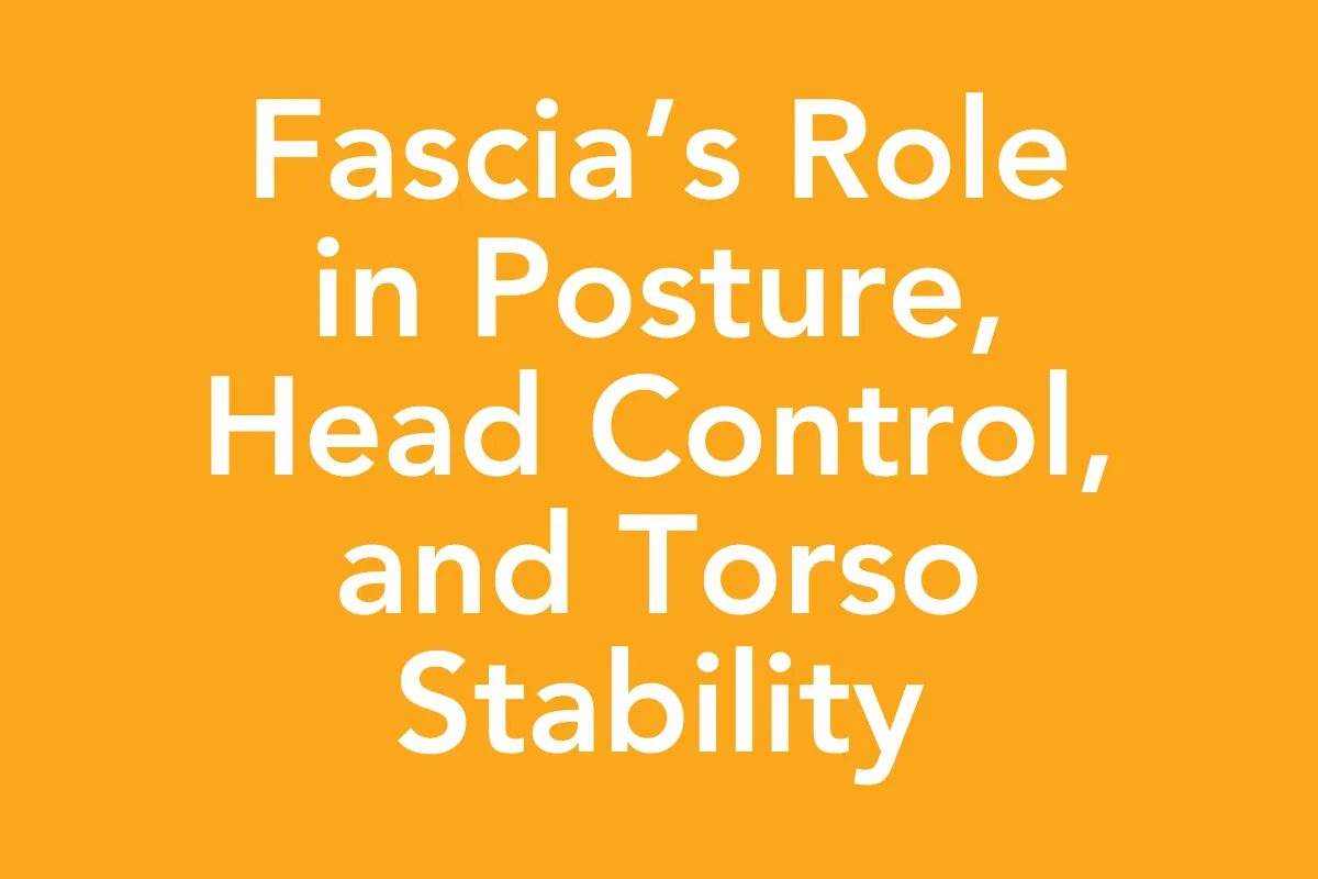 Post 7: Holding It All Together: Fascia’s Role in Posture, Head Control, and Torso Stability