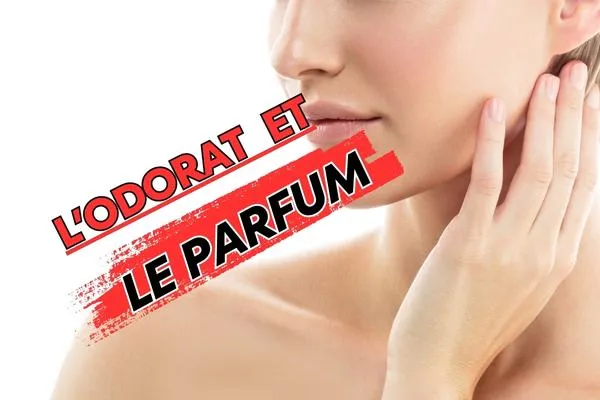 L'Odorat et le Parfum