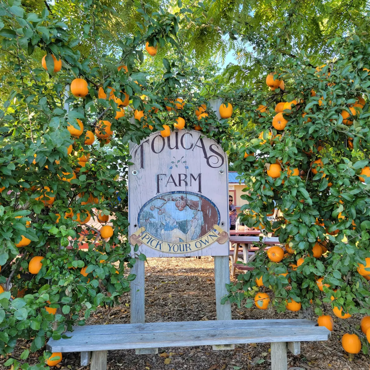  Tougas Family Farm 