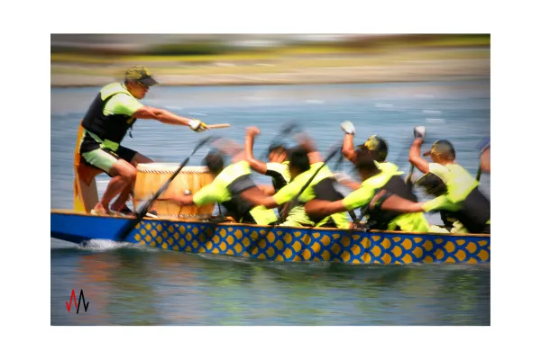 Dragon Boat Racing