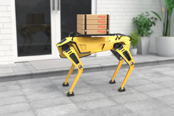 The Legal Risk of Autonomous Food Delivery Robots on Raleigh Streets