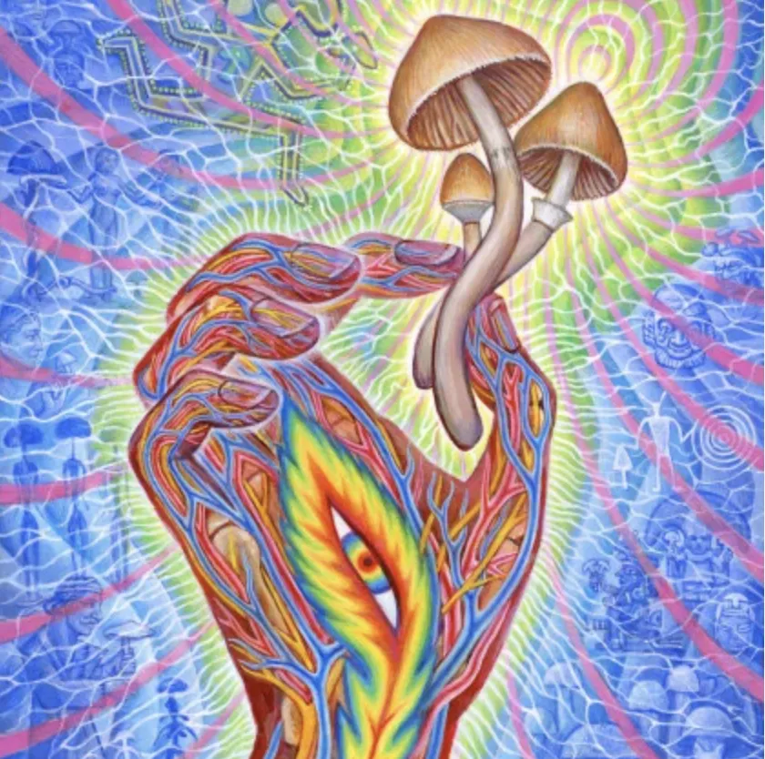 alex grey, psychedelics, psilocybin, ,