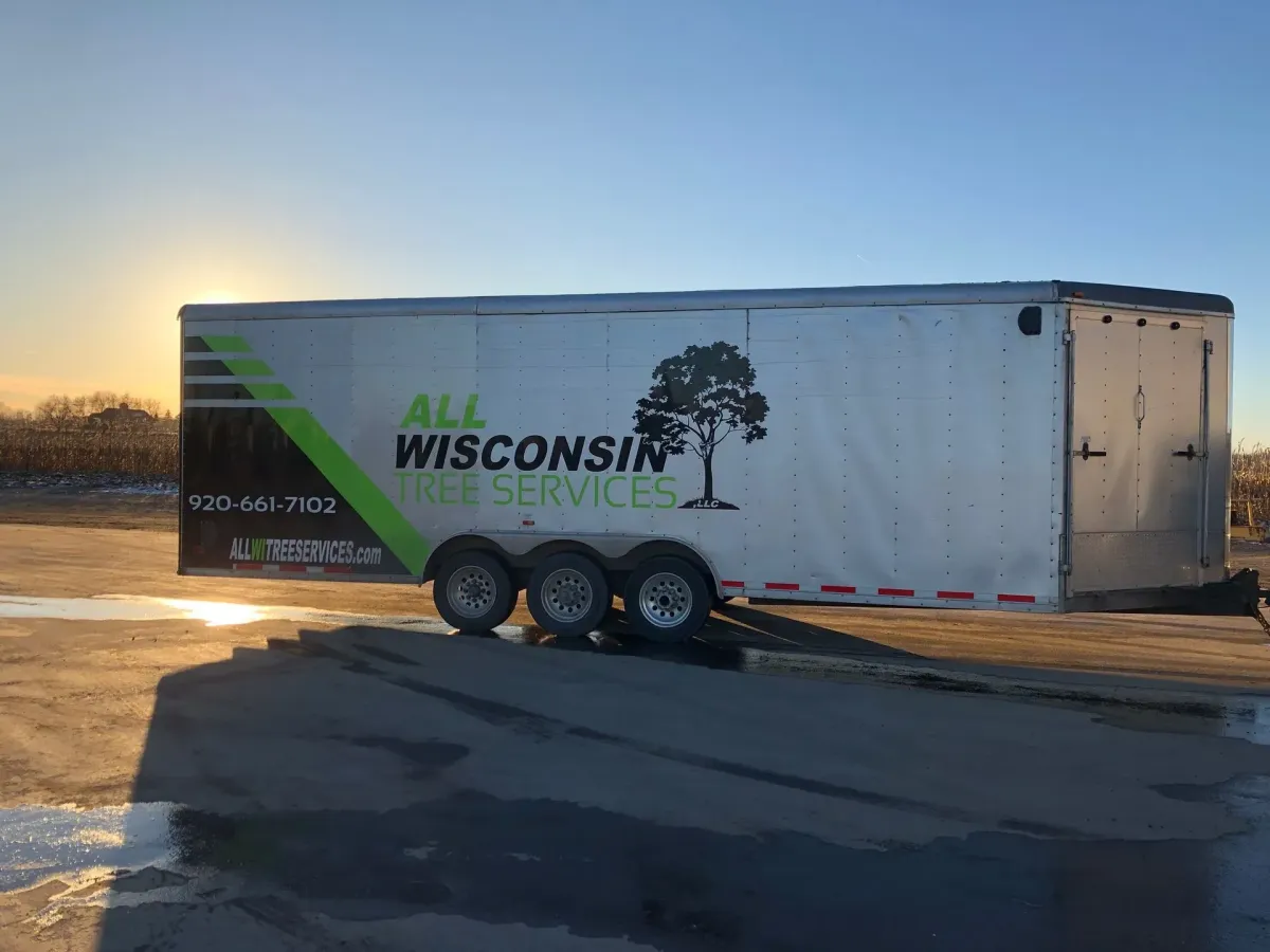Local Wisconsin Tree Service