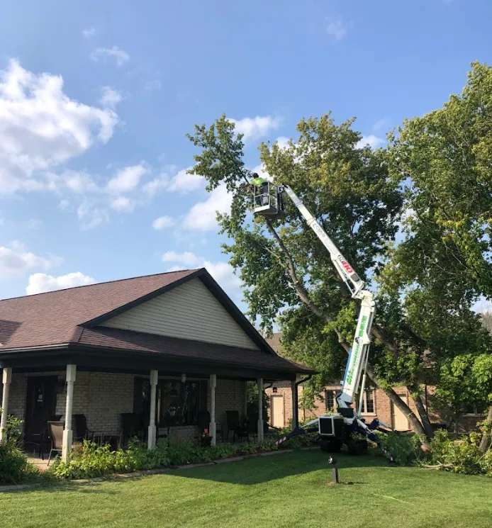 Wisconsin Tree Service