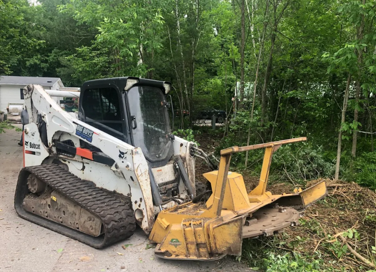 Stump Grinding Services Near You