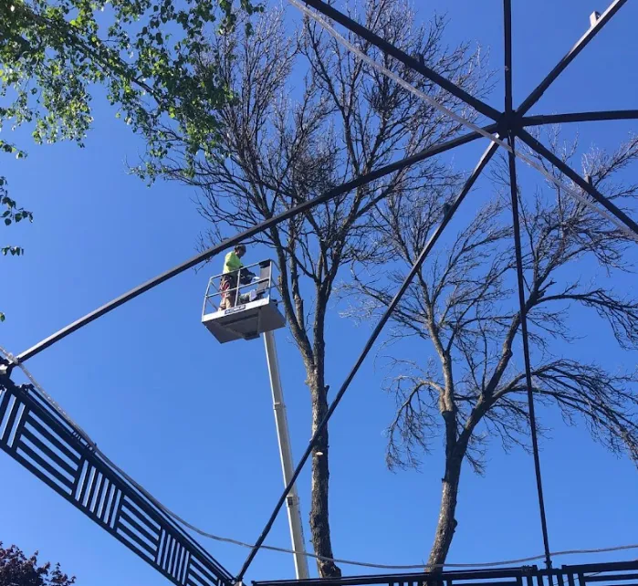 All WI Tree Services