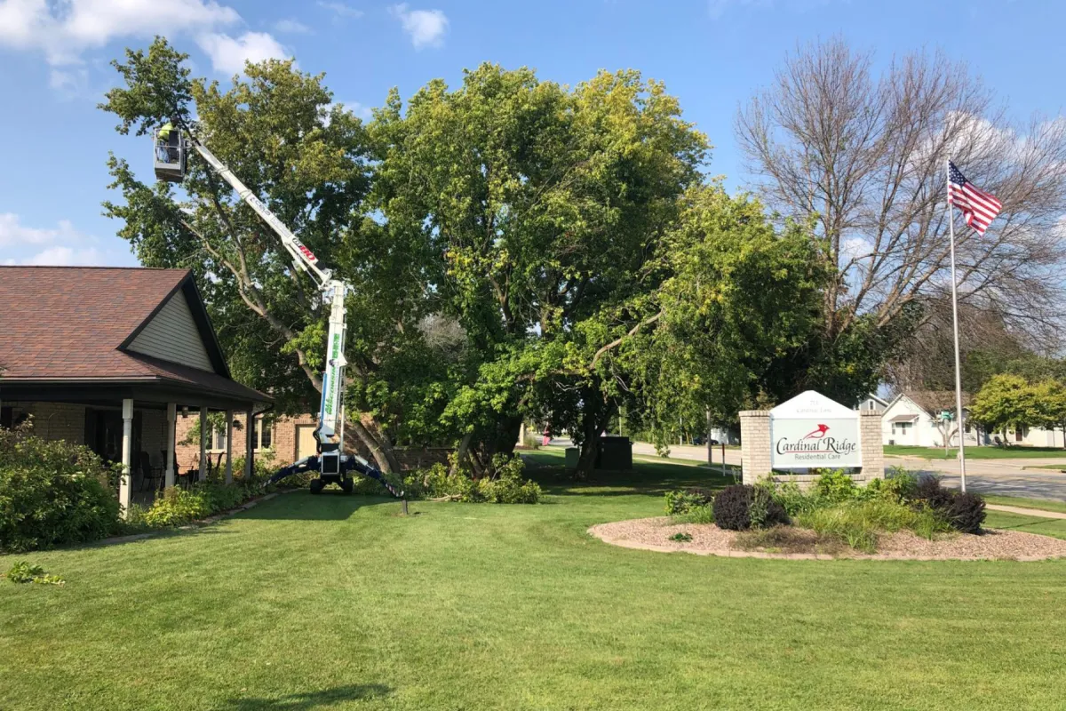 Tree Trimming in Green Bay