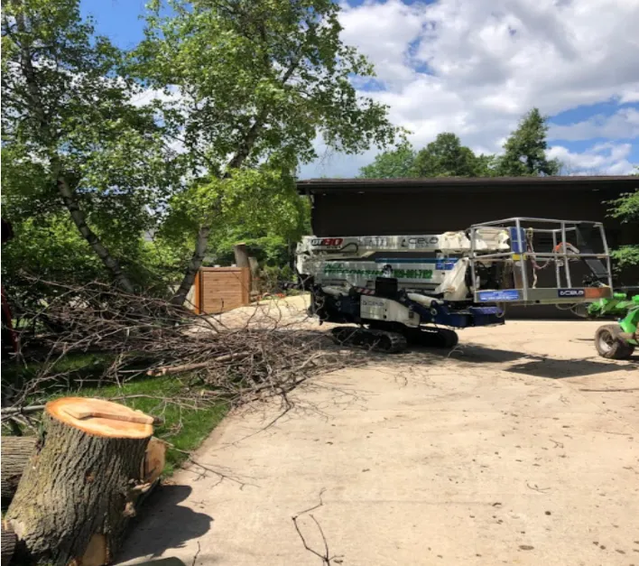 best professional tree service in Green Bay