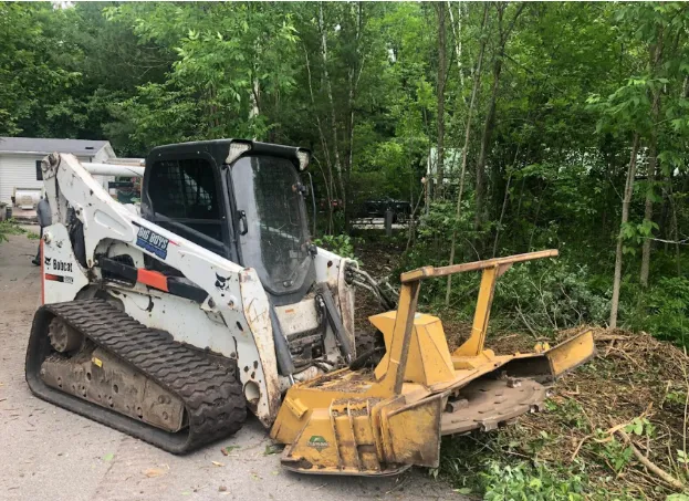 Local Tree Experts in Green Bay