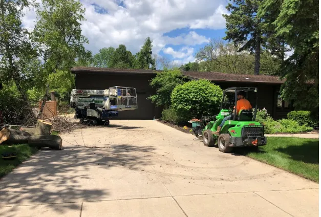 Affordable Stump Grinding