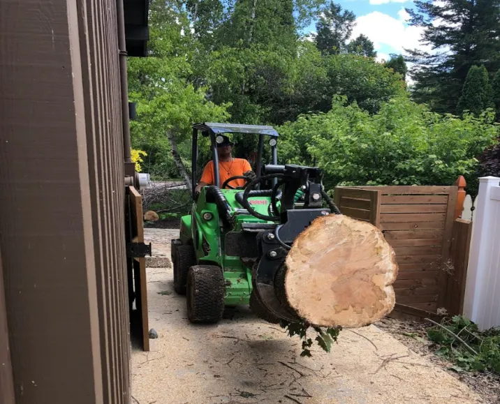 Stump Grinding Services Near Me