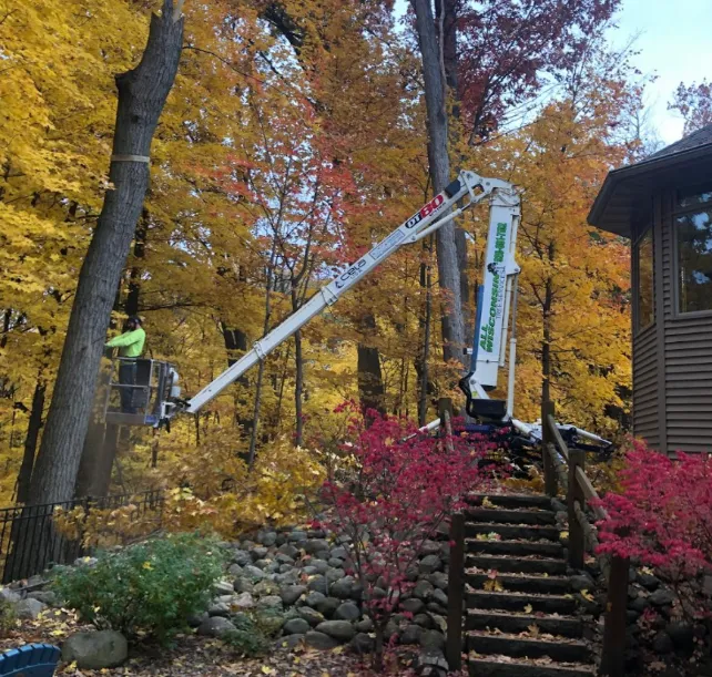 Green Bay Tree Service