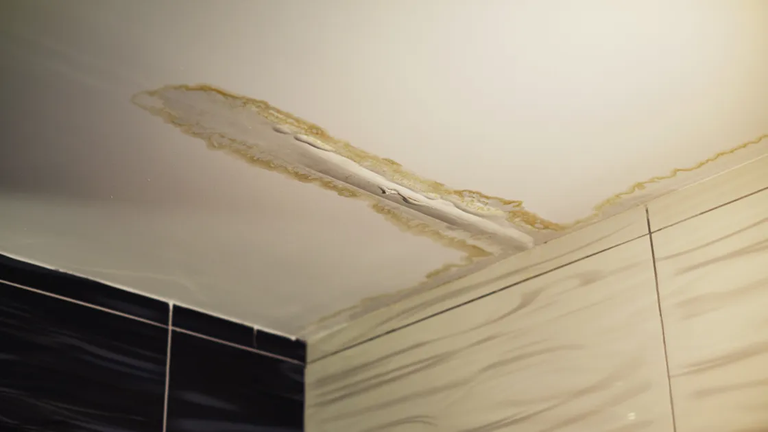 Advanced Water Leak Detection Methods for Melbourne Homes
