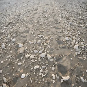 When Love Feels Like Walking On Eggshells