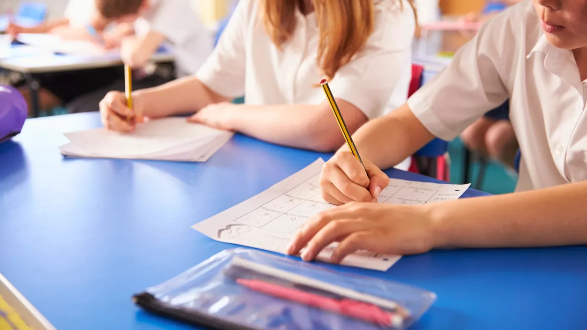 Primary School Is the Key to Maths Success