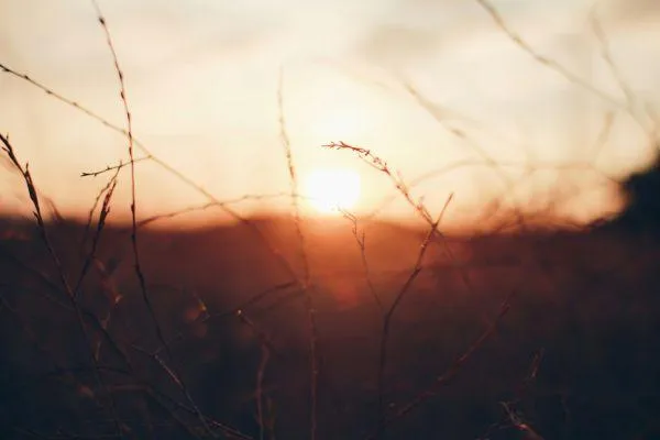 The Creator Has No Religion | Reclaim Your Spiritual Connection