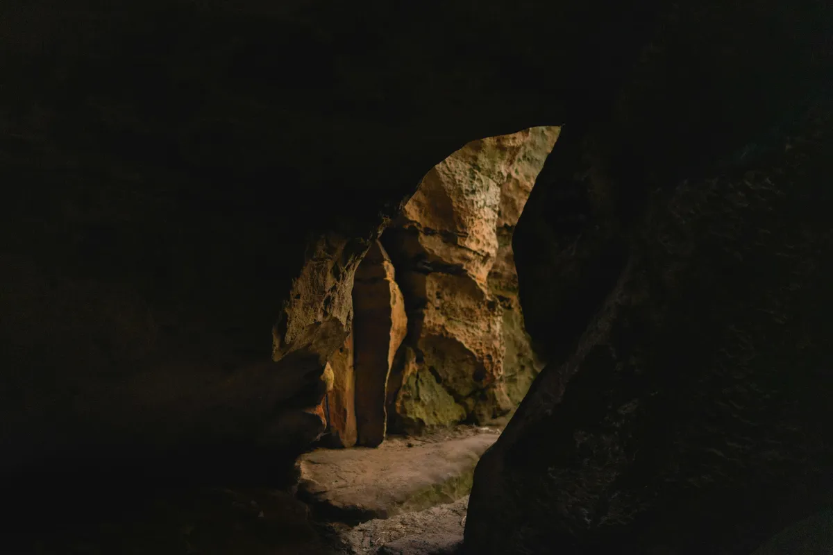 The Fear Beneath the Fear