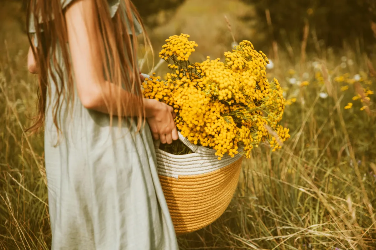 Daughters of Witches & Wisdom Keepers