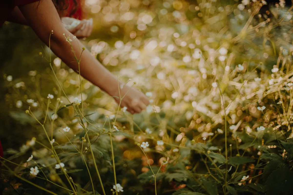 Prayer to the Divine Feminine