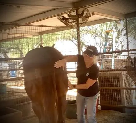 Learning Acupressure Part 2: Assessments, Meridians, and Meaningful Releases