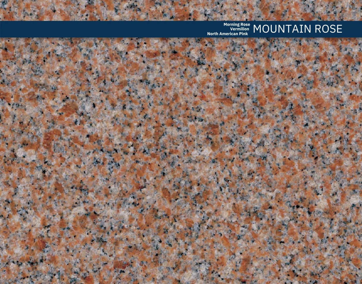 Mountain Rose