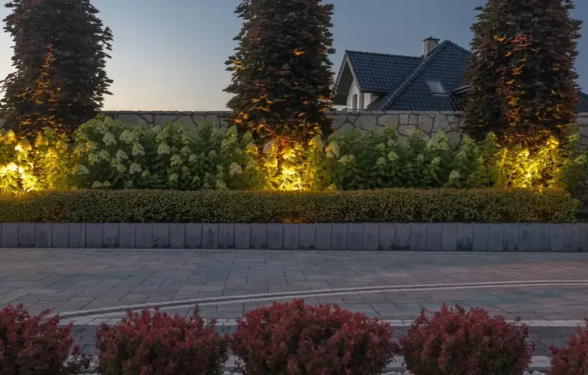 Lighting to Your Driveway Landscape