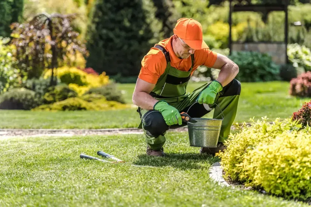 Paved Surfaces in Top Condition