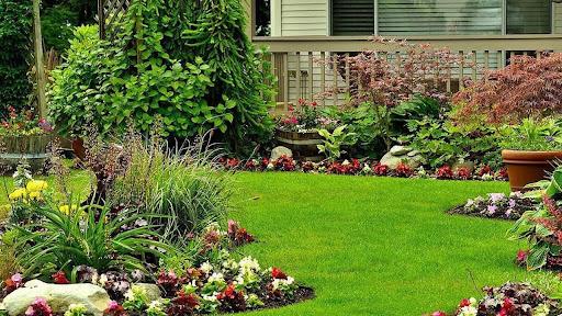 Create A Low-Maintenance