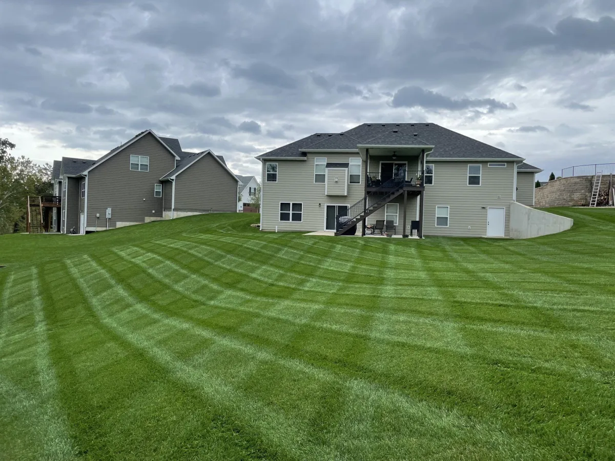 lawn
