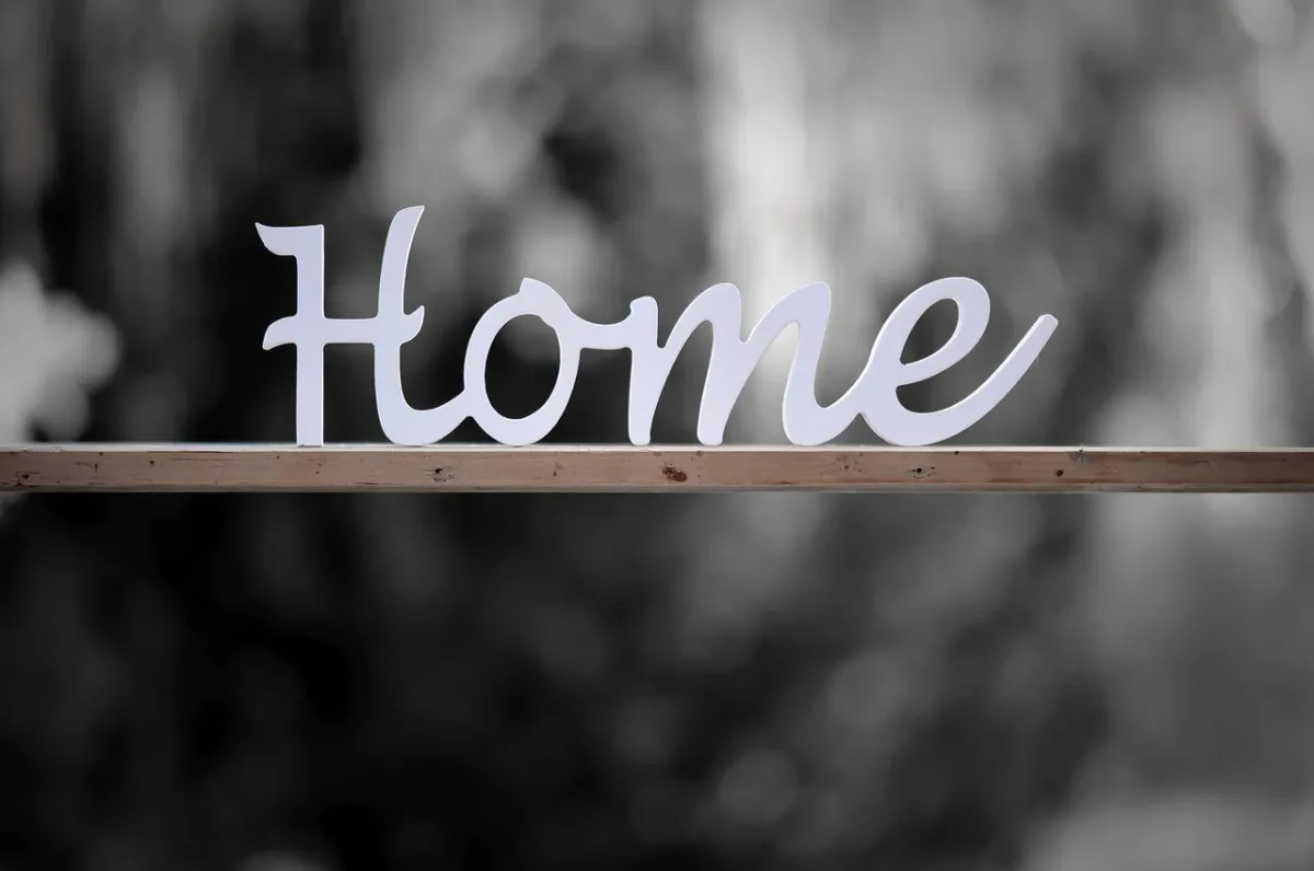 Home Organizing journal