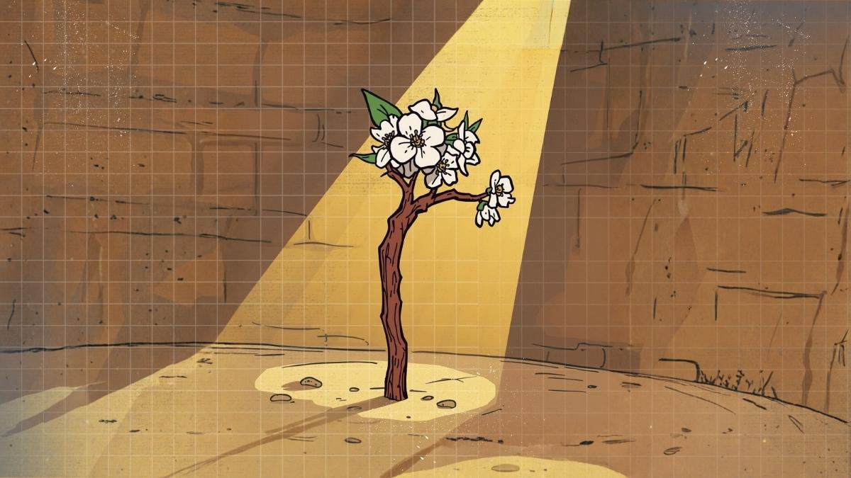 NUMBERS 17 (KJV) When God Brings Life to What Looks Dead