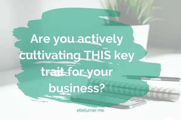 Are you actively cultivating this key trait graphic for self-trust as an entrepreneur blog post