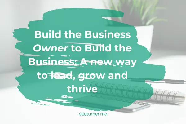 leadership development for entrepreneurs, online business clarity, confidence in business, soulful business strategy, banish the witch wound